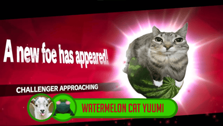 Watermelon Cat Yuumi